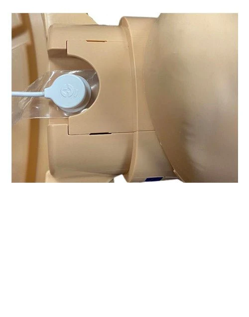 PRESTAN Series 2000 Professional Adult Manikin Lung Bags - 50 count - Image 2